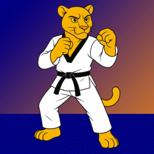 Club de Taekwondo en Murcia
