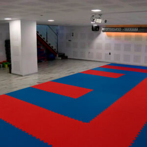 Club de Taekwondo en Murcia